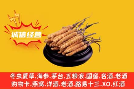 西宁市回收冬虫夏草